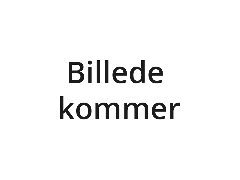Billedet kommer