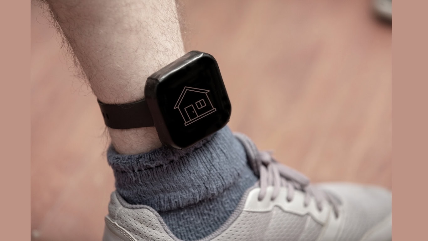 Nye regler om fodlænke